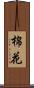 棉花 Scroll