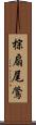 棕扇尾鶯 Scroll