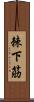 棘下筋 Scroll