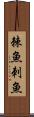 棘魚 Scroll