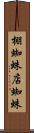 棚蜘蛛 Scroll