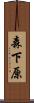 森下原 Scroll