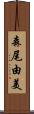 森尾由美 Scroll