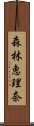 森林恵理奈 Scroll