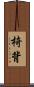 椅背 Scroll