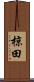椋田 Scroll