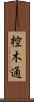 椌木通 Scroll