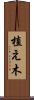 植え木 Scroll