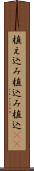 植え込み Scroll