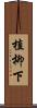 植柳下 Scroll