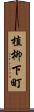 植柳下町 Scroll