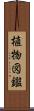 植物図鑑 Scroll