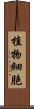 植物細胞 Scroll