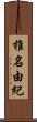 椎名由紀 Scroll