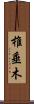 椎垂木 Scroll