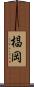 椙岡 Scroll