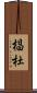 椙杜 Scroll