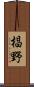 椙野 Scroll