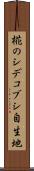椛のシデコブシ自生地 Scroll