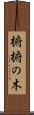 椨 Scroll