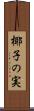 椰子の実 Scroll