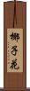 椰子花 Scroll