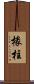 椽柱 Scroll