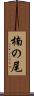 楠の尾 Scroll
