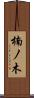 楠ノ木 Scroll