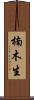 楠木生 Scroll