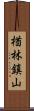 楢林鎮山 Scroll