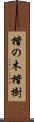 楷の木 Scroll