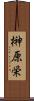 榊原栄 Scroll