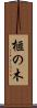 榧の木 Scroll