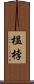 榲桲 Scroll