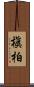 槇柏 Scroll