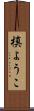 槙ようこ Scroll