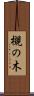 槻の木 Scroll