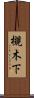 槻木下 Scroll