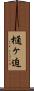 樋ヶ迫 Scroll