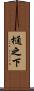 樋之下 Scroll