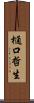 樋口哲生 Scroll