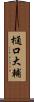 樋口大輔 Scroll