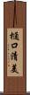 樋口清美 Scroll