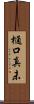 樋口真未 Scroll