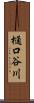 樋口谷川 Scroll