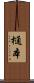 樋本 Scroll