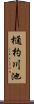 樋杓川池 Scroll