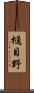 樋目野 Scroll