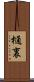 樋裏 Scroll